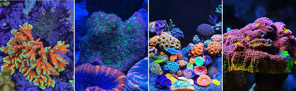 Popbloom-Rl90 WiFi LED Aquarium Light 200W Reef Marine Lamp