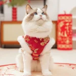 Autumn Winter Dog Cat Velvet Vest 4 | PricZone