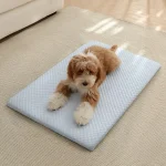 1Pc Sponge Cooling Cat Bed Thick Padding Comfortable Cool 4 | PricZone 1Pc Sponge Cooling Cat Bed Thick Padding Comfortable Cool 4 | PricZone