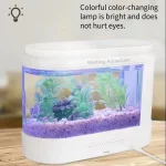 Fish Tank Living Room Small Desktop Ecological Aquarium 1 | PricZone Fish Tank Living Room Small Desktop Ecological Aquarium 1 | PricZone