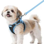 Dog Harness Small Sized and Leash Set Step In Soft Vest 1 | PricZone