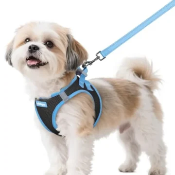 Dog Harness Small Sized and Leash Set Step In Soft Vest 1 | PricZone