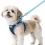 Dog Harness Small-Sized and Leash Set Step-In Soft Vest