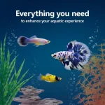 Aquarium Starter Kit with Smart Clean Iltration and LED 2 | PricZone