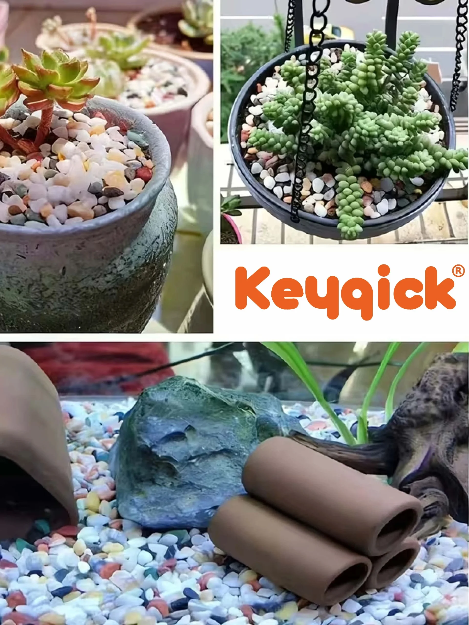 3 Pounds Of Multicolored Succulent Landscape Stones 12