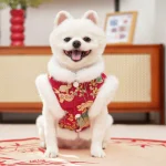 Autumn Winter Dog Cat Velvet Vest 5 | PricZone