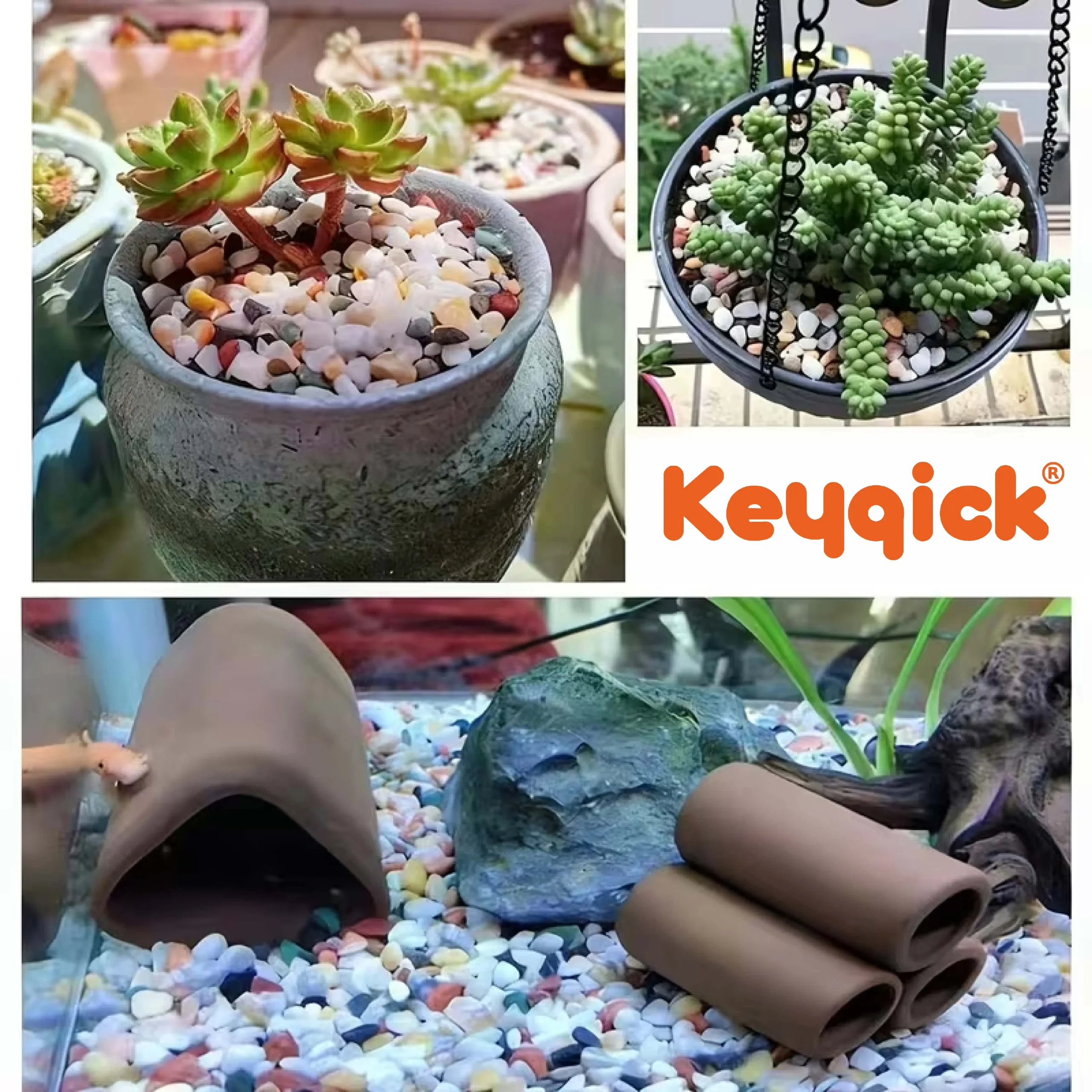 3 Pounds Of Multicolored Succulent Landscape Stones 13