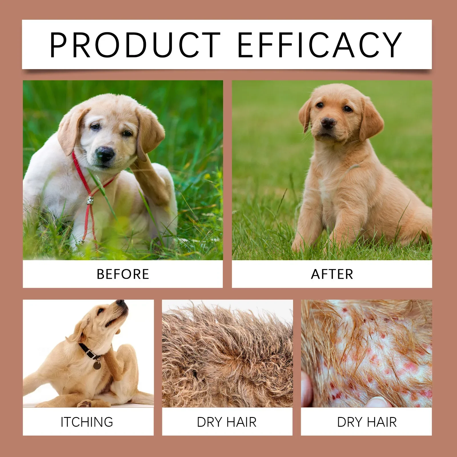 Dog Shampoo Conditioner Moisturizing for Sensitive Skin pH 13