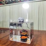 Home Office Desktop Transparent Acrylic Aquarium Water 4 | PricZone