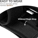 Random 3Pcs Rabbit Harness and Leash Set Escape Proof 3 | PricZone