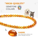 Pet Collar Natural Amber Jewelry Prevents Ticks and Fleas 2 | PricZone Pet Collar Natural Amber Jewelry Prevents Ticks and Fleas 2 | PricZone