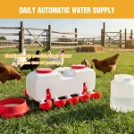 10 kg Self Filling Chicken Waterer Feeder W10 Drinking Cups 7 | PricZone