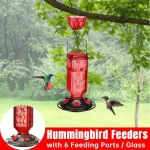 Hanging Glass Hummingbird Feeder Outdoor Bird Leak Proof 3 | PricZone