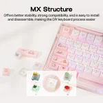 Mewsic Jelly Keycap Set 122 Mao Profile Keycaps Abs+PC 3 | PricZone