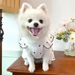 Spring Summer Pet Dresses for Dogs and Cats 2 | PricZone Spring Summer Pet Dresses for Dogs and Cats 2 | PricZone
