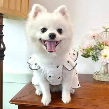 Spring Summer Pet Dresses for Dogs and Cats 2
