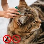 Pet FleaTick Drops Effectively Repel Fleas Keep Skin 1 | PricZone Pet FleaTick Drops Effectively Repel Fleas Keep Skin 1 | PricZone