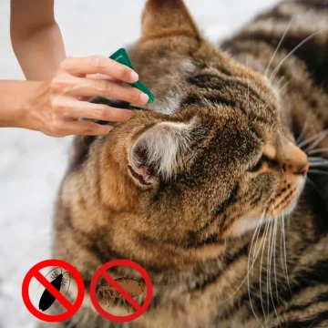 Pet FleaTick Drops Effectively Repel Fleas Keep Skin 1 | PricZone