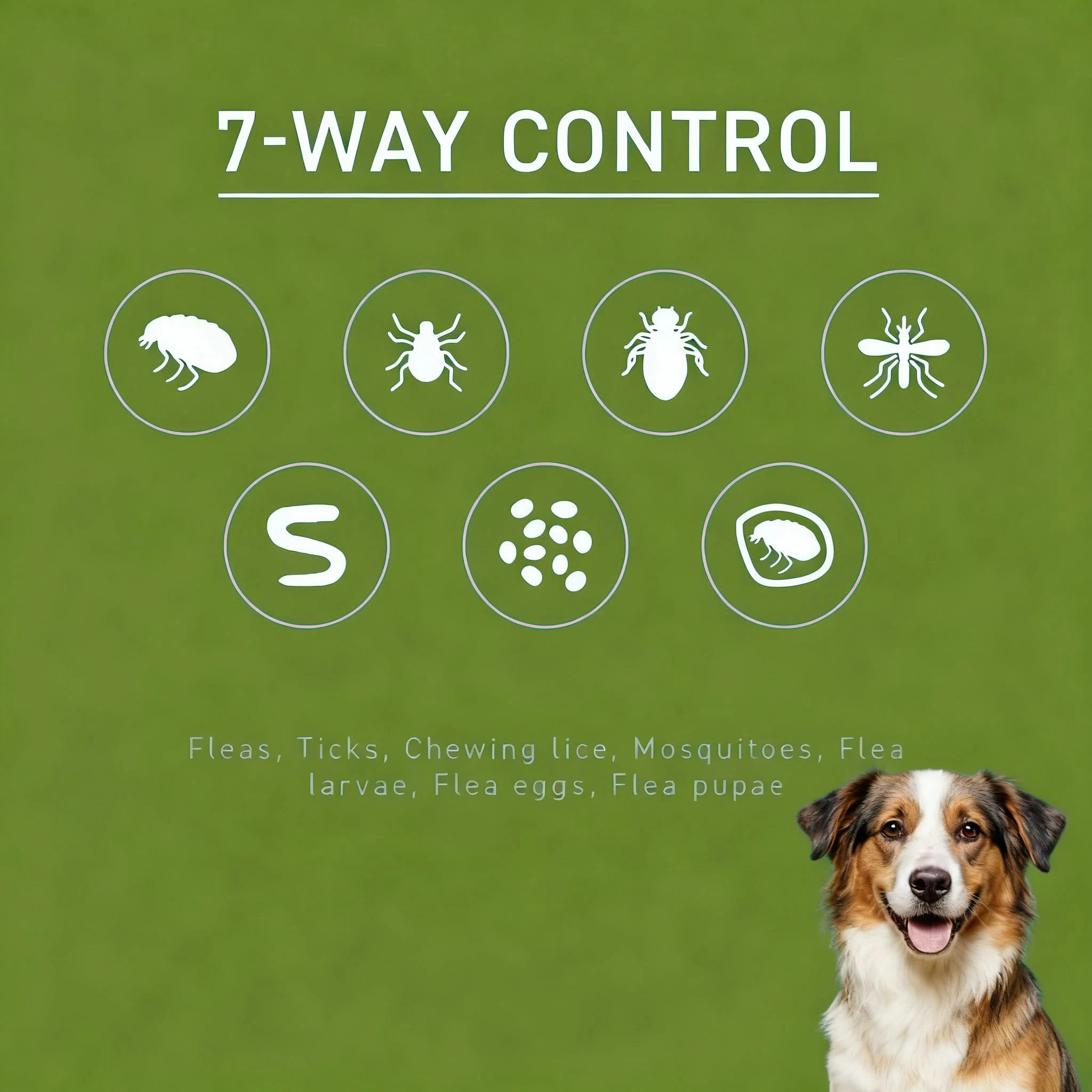 Pet FleaTick Drops Effectively Repel Fleas Keep Skin 4 | PricZone Pet FleaTick Drops Effectively Repel Fleas Keep Skin 4 | PricZone