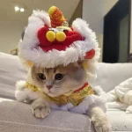 Chinese New Year Lion Dance Dog Costume for Puppy Pet 4 | PricZone