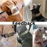 Military Dog Collar Adjustable Nylon with Metal Buckle Soft 6 | PricZone Military Dog Collar Adjustable Nylon with Metal Buckle Soft 6 | PricZone