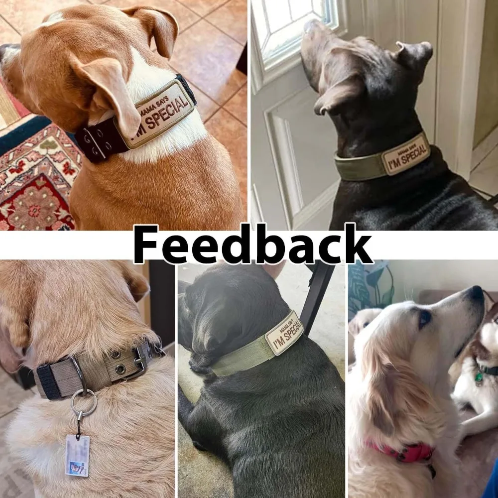 Military Dog Collar Adjustable Nylon with Metal Buckle Soft 6 | PricZone Military Dog Collar Adjustable Nylon with Metal Buckle Soft 6 | PricZone