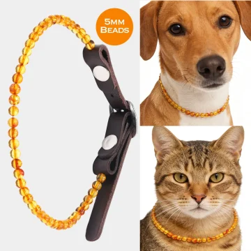Pet Collar Natural Amber Jewelry Prevents Ticks and Fleas 1 | PricZone