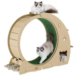 6 In 1 Multifunctional Quiet Cat Exercise Wheel 2 | PricZone