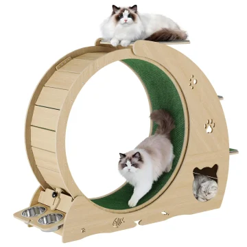 6-In-1 Multifunctional Quiet Cat Exercise Wheel 2