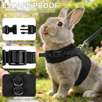 Random 3Pcs Rabbit Harness and Leash Set Escape-Proof 2