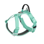 Small Combination Pet Harness No Pull Nylon Reflective Dog 5 | PricZone