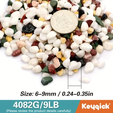 3 Pounds Of Multicolored Succulent Landscape Stones 2