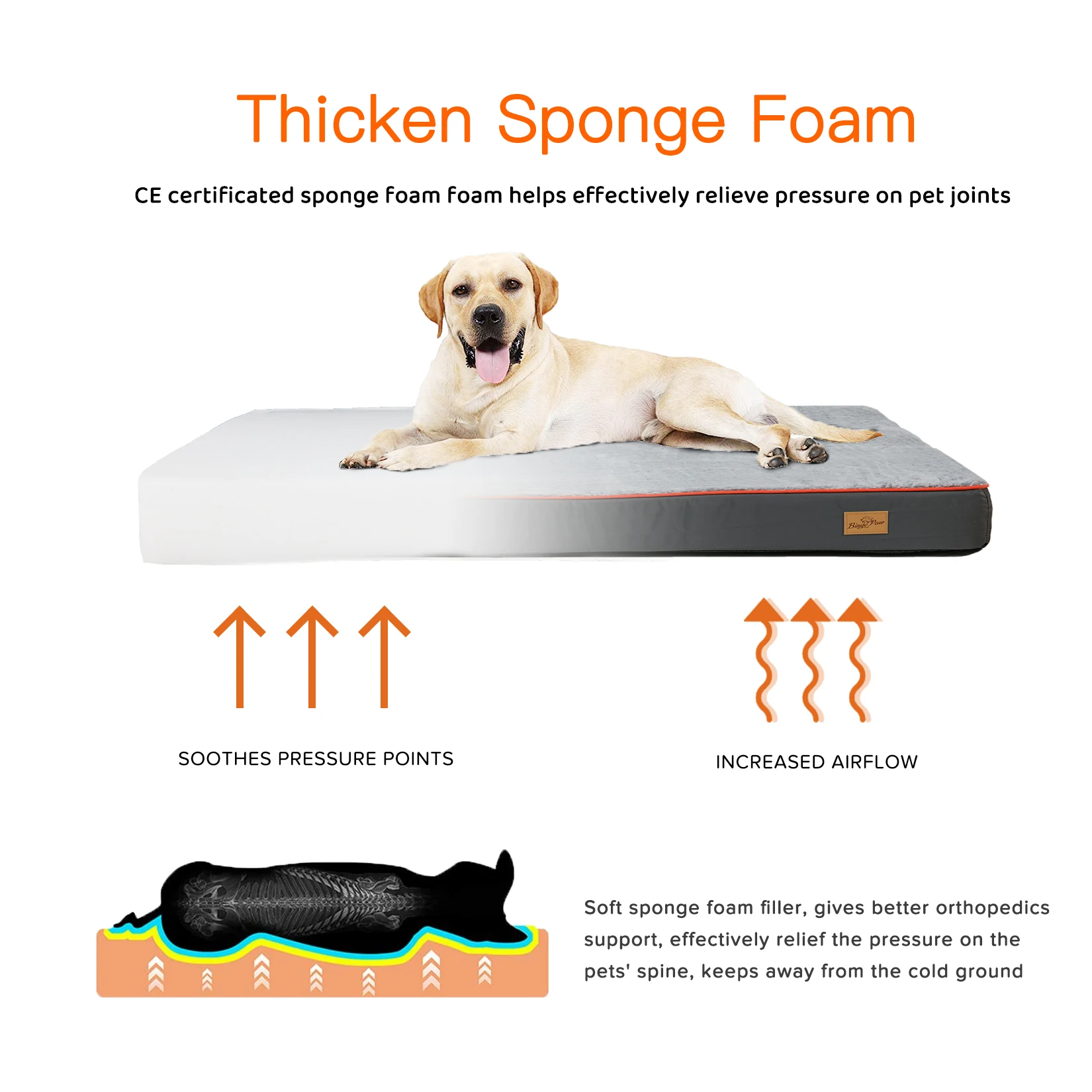 Dog Pet Bed Large Padded Orthopedic Foam Cushion for Pets 8 | PricZone Dog Pet Bed Large Padded Orthopedic Foam Cushion for Pets 8 | PricZone
