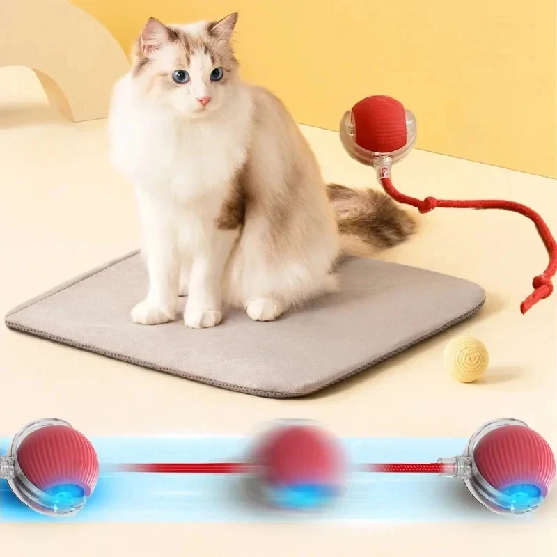 Rechargeable Automatic Rolling Cat Toy with Fake Tail 2 | PricZone Rechargeable Automatic Rolling Cat Toy with Fake Tail 2 | PricZone