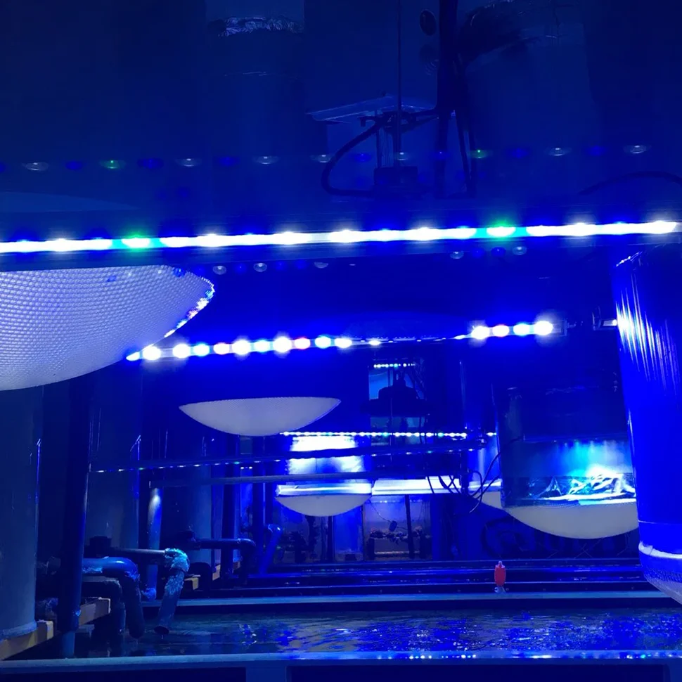 Populargrow 85Cm Light LED Strip Length 81W Aquarium Lamp 14
