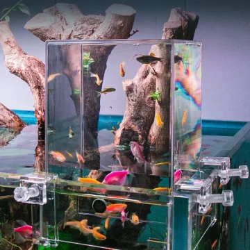 Creative Aquarium Negative Pressure Fish Tank Ecological 2