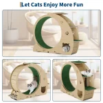 6 In 1 Multifunctional Quiet Cat Exercise Wheel 6 | PricZone