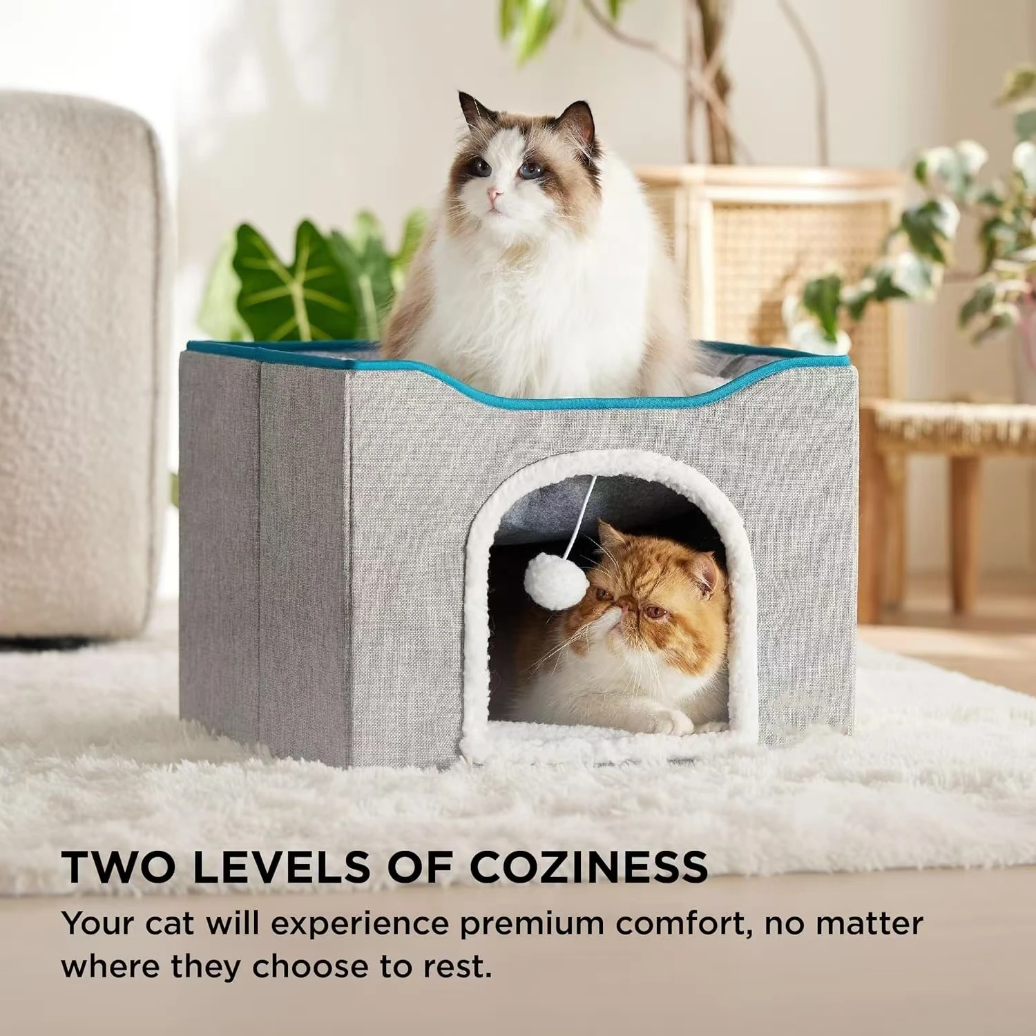 Cat Beds for Indoor Cats Large Cave for Pet House 6 | PricZone Cat Beds for Indoor Cats Large Cave for Pet House 6 | PricZone