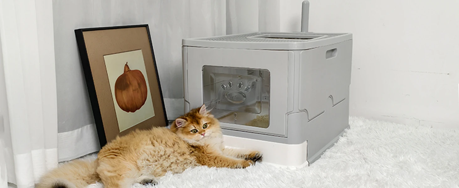 Large Cat Litter Box Kitty Sandbox Enclosed Splashproof 12
