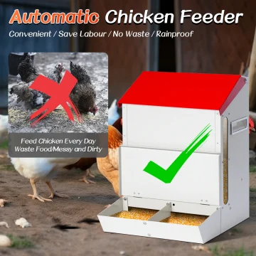 Large Capacity Metal Automatic Chicken Feeding Trough 2