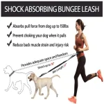 Hands Free Dog Leash with Waist Belt Large Zipper Pouch 3 | PricZone