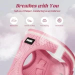 Dog Harness and Leash Set Outdoor Walking Soft Mesh 3 | PricZone