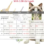 Random 2Pcs Cute Kitten and Leash Set Adjustable Breathable 2 | PricZone Random 2Pcs Cute Kitten and Leash Set Adjustable Breathable 2 | PricZone