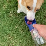 Dog Water Bottle LeakProof Puppy Dispenser with Drinking 2 | PricZone Dog Water Bottle Leak Proof Puppy Dispenser with Drinking 2 | PricZone