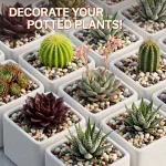3 Pounds Of Multicolored Succulent Landscape Stones 7 | PricZone 3 Pounds Of Multicolored Succulent Landscape Stones 7 | PricZone