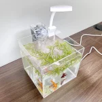 Home Office Desktop Transparent Acrylic Aquarium Water 1 | PricZone