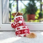 Super Soft Warm Dog and Cat Pet Sweaters for Winter 5 | PricZone