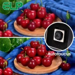16Mp Day Night Auto Focus USB Webcam with UVc and USB 20 PC 3 | PricZone