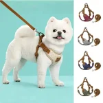 Lead Leash Set for SmallMedium Cat Vest Chest Strap Puppy 1 | PricZone