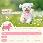 Small Dog Collar Harness and Leash Set for Daily Walks 2 | PricZone Small Dog Collar Harness and Leash Set for Daily Walks 2 | PricZone